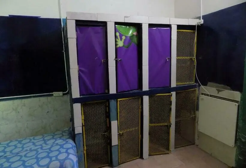 تختخواب در اتاق مشترک, Hospedaje La Rana
