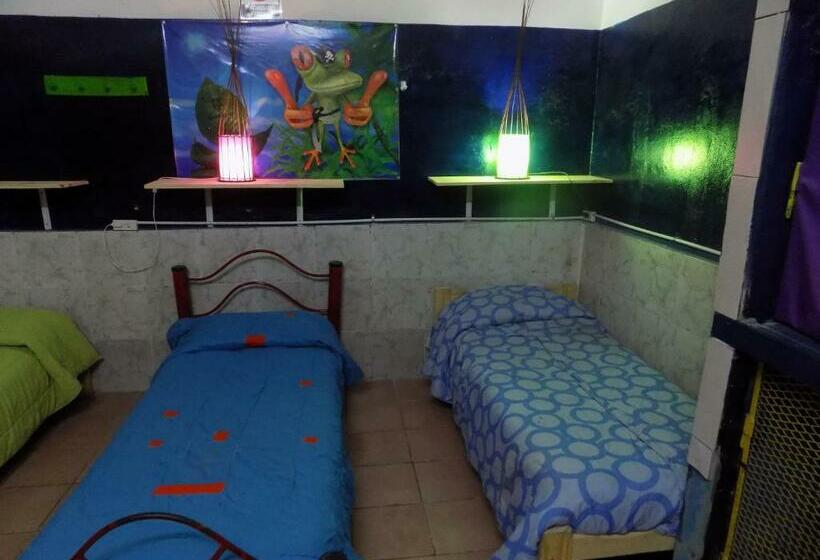 تختخواب در اتاق مشترک, Hospedaje La Rana