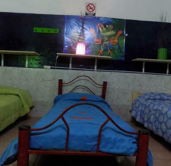 تختخواب در اتاق مشترک, Hospedaje La Rana