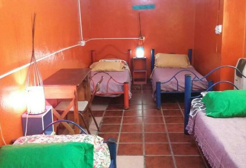 اتاق استاندارد چهارنفره با چشم‌انداز باغ, Hospedaje La Rana