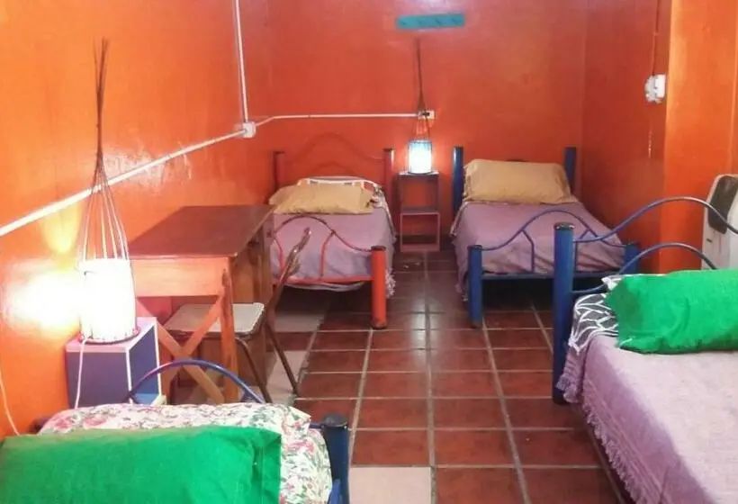 اتاق استاندارد چهارنفره با چشم‌انداز باغ, Hospedaje La Rana