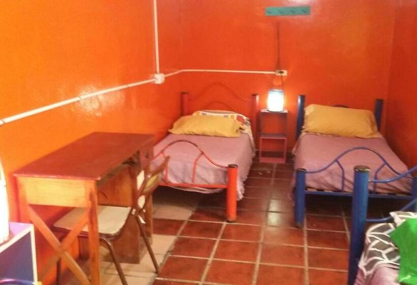 اتاق استاندارد چهارنفره با چشمانداز باغ, Hospedaje La Rana