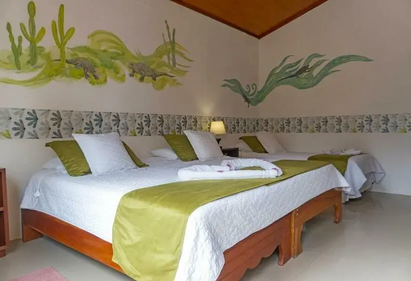 اتاق استاندارد سه نفره, Coral Blanco With High Speed Internet Starlink And Galapagos Tour Operator