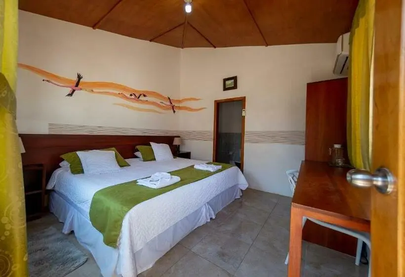 اتاق استاندارد, Coral Blanco With High Speed Internet Starlink And Galapagos Tour Operator