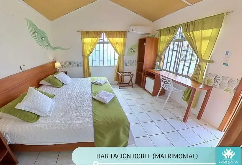 اتاق سوپریور, Coral Blanco With High Speed Internet Starlink And Galapagos Tour Operator
