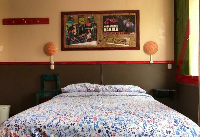 Номер Стандарт, Flying Donkey