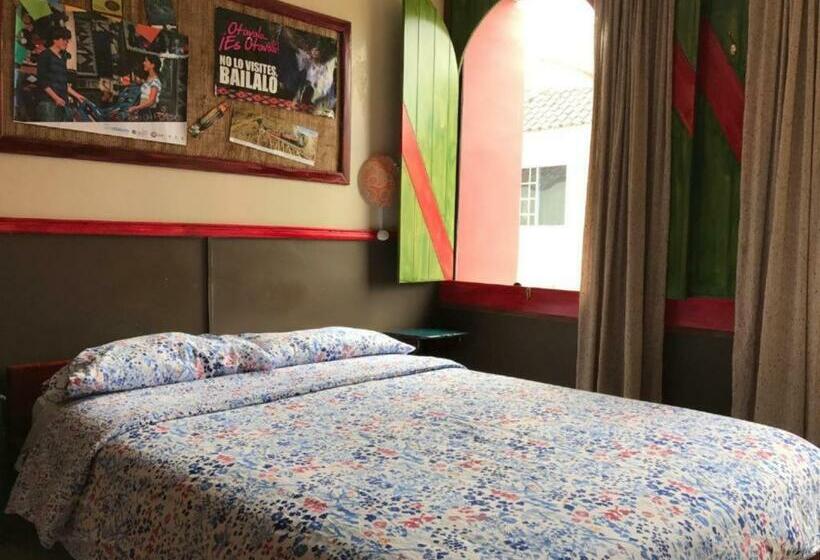 Номер Стандарт, Flying Donkey