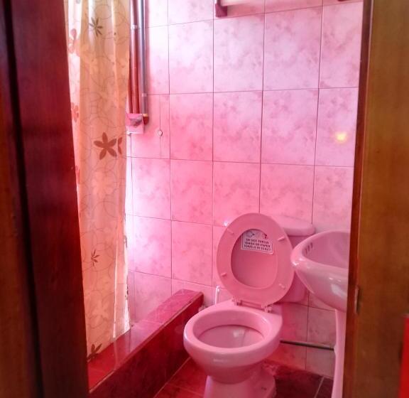 Номер Стандарт, Flying Donkey