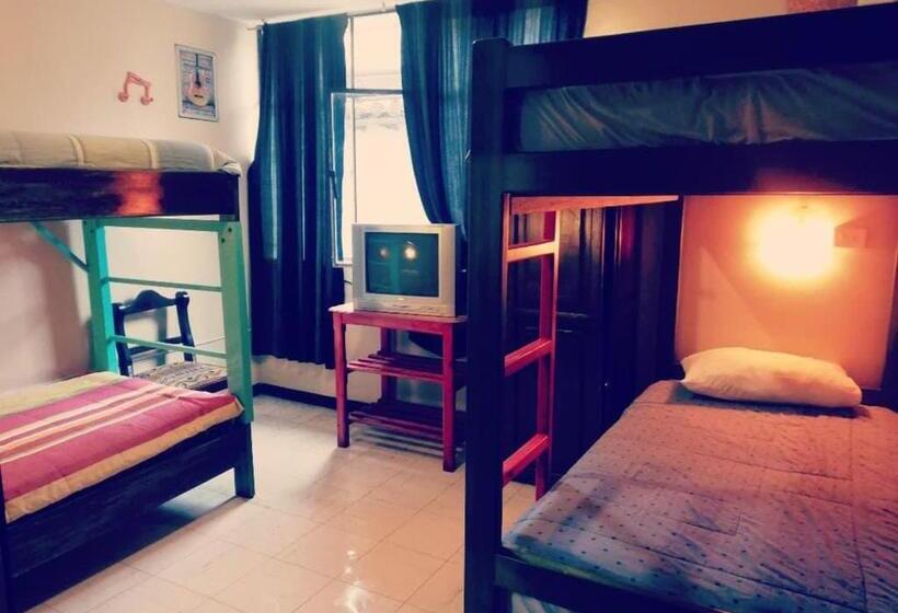 Кровать в Общей Комнате, Flying Donkey