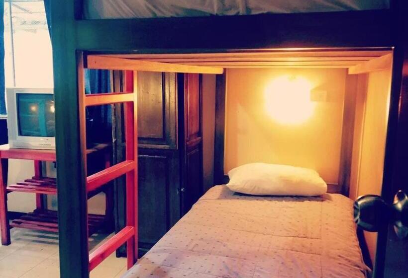 تختخواب در اتاق مشترک, Flying Donkey