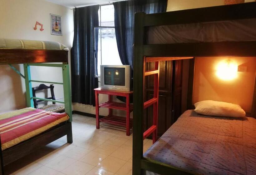 Кровать в Общей Комнате, Flying Donkey