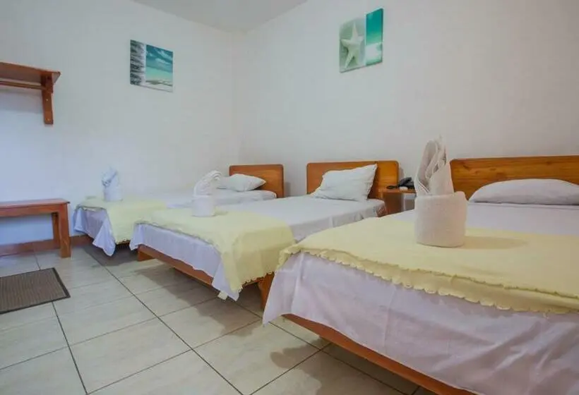 Standard Kolmen Hengen Huone, Galapagos Dreams