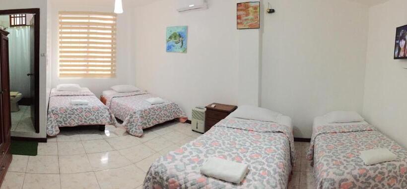 اتاق استاندارد چهار تخته, Galapagos Dreams