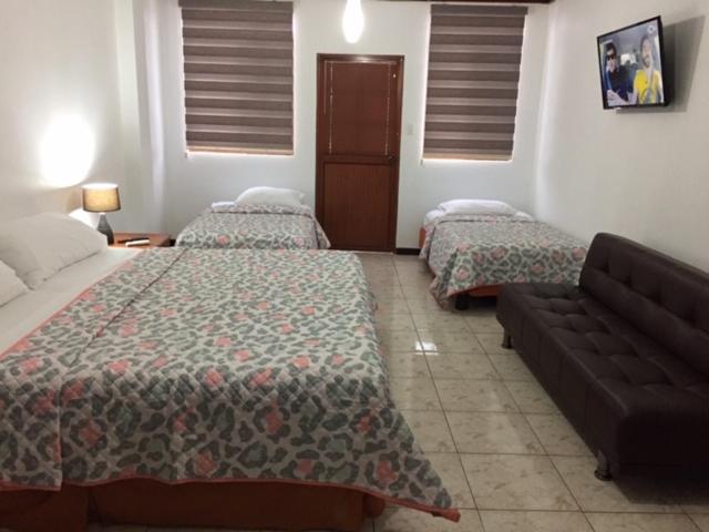 اتاق استاندارد چهار تخته, Galapagos Dreams