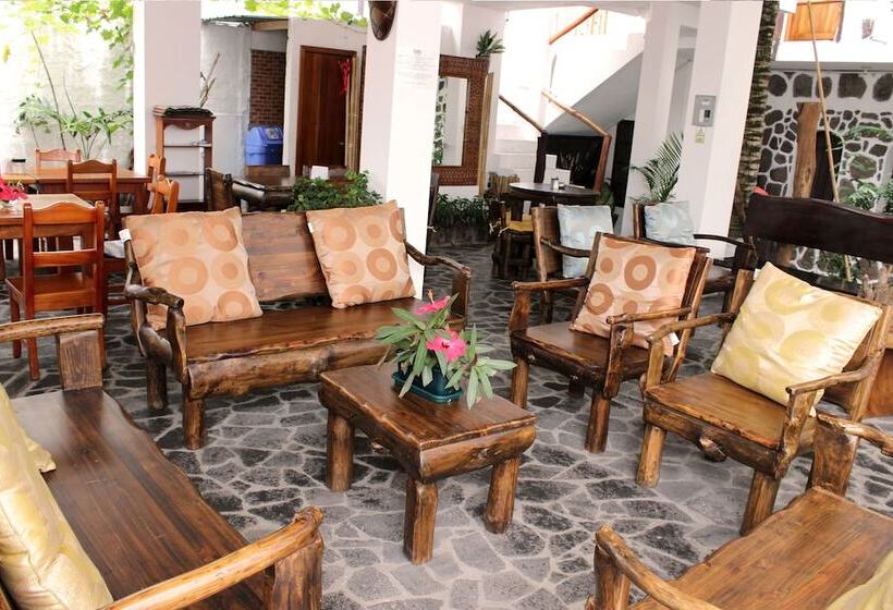 اتاق استاندارد چهار تخته, Galapagos Dreams