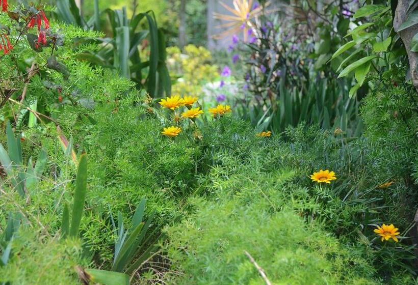 Номер Стандарт Трехместный, Hosteria Cananvalle