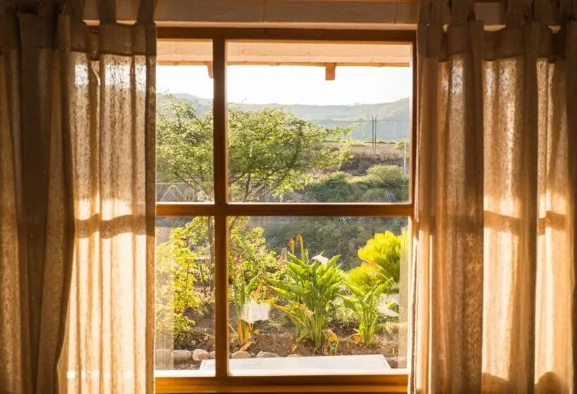 اتاق استاندارد چهار تخته, Hosteria Cananvalle