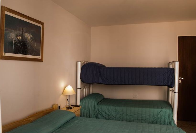 浴室共有スタンダード４人用ルーム, Loica Hostel