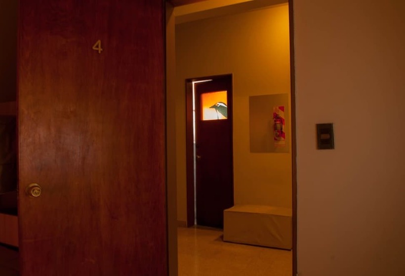 共用浴室的经济型房间, Loica Hostel