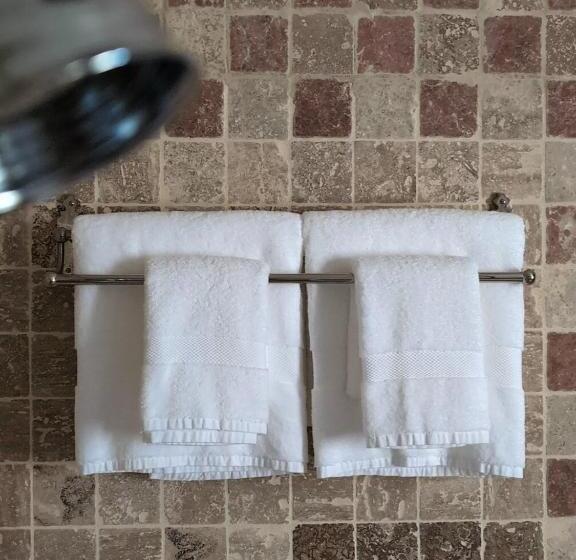 디럭스 룸 킹사이즈 침대, Domaine Du Bosc Roger