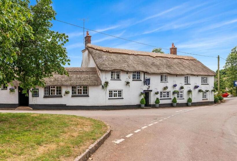 デラックスルーム, The Ley Arms