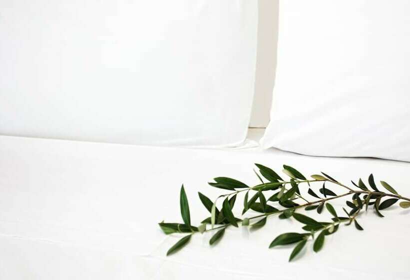 스탠다드 룸, Atlas Hotel Skiathos