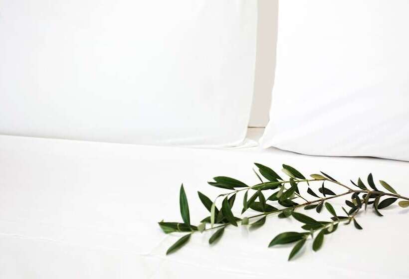 침실 1개 디럭스 아파트, Atlas Hotel Skiathos