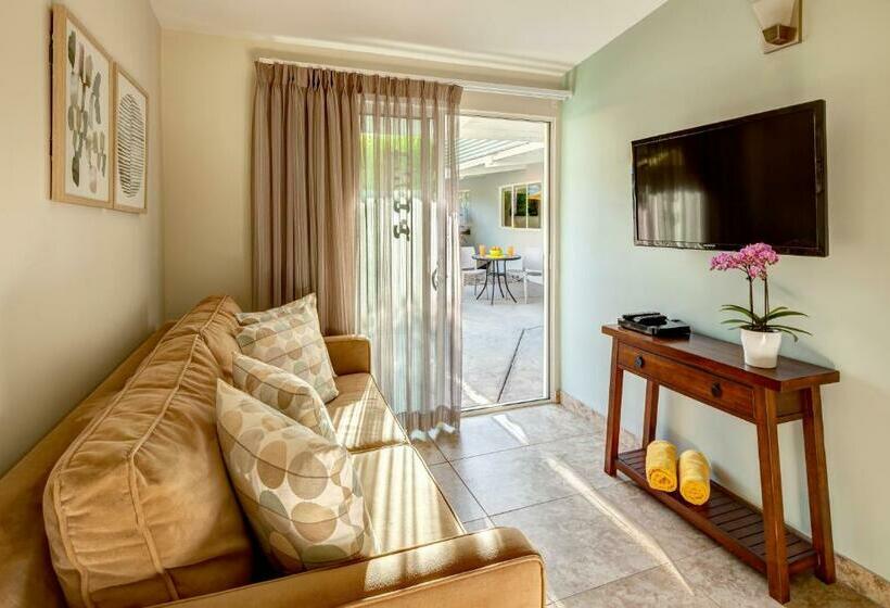 إستوديو ديلوكس, Avance