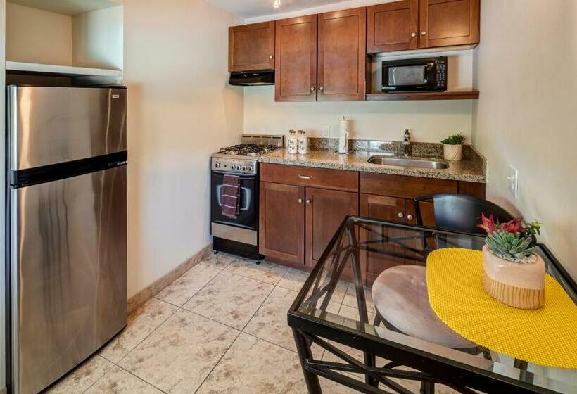 إستوديو قياسى مزودة بتراس, Avance