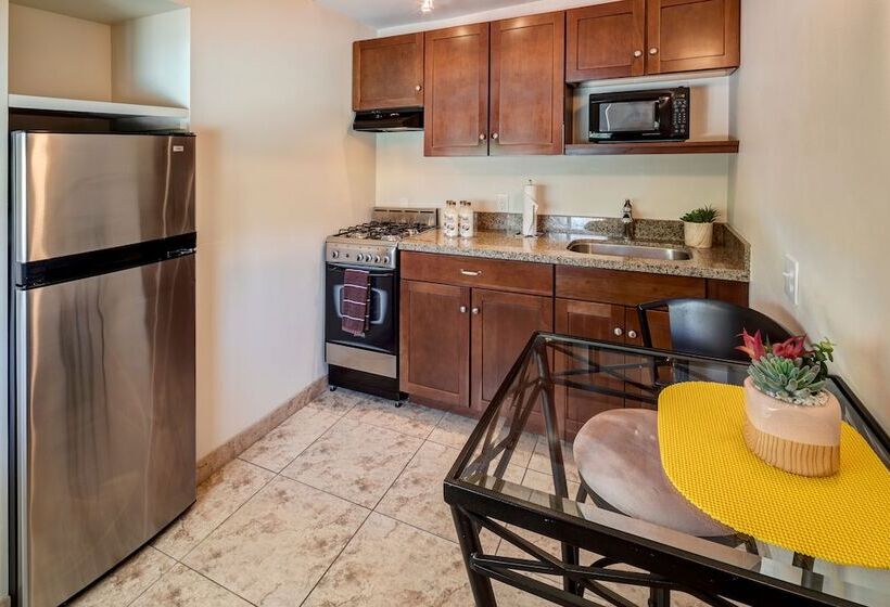 إستوديو بريميوم, Avance