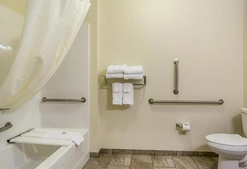 Standard-invahuone King-vuode, Cobblestone Hotel & Suites Chippewa Falls