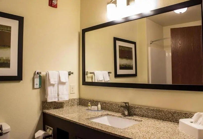 Standard Neljän Hengen Huone, Cobblestone Hotel & Suites Chippewa Falls