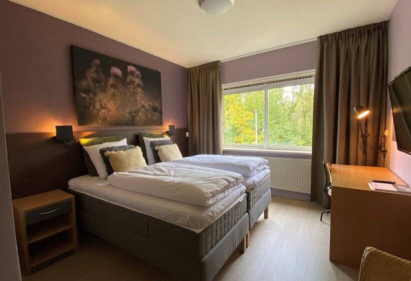 标准间, Guldenberg