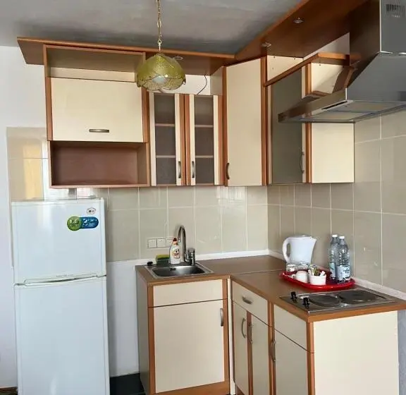 آپارتمان 1 خوابه, Green Hotel Atyrau