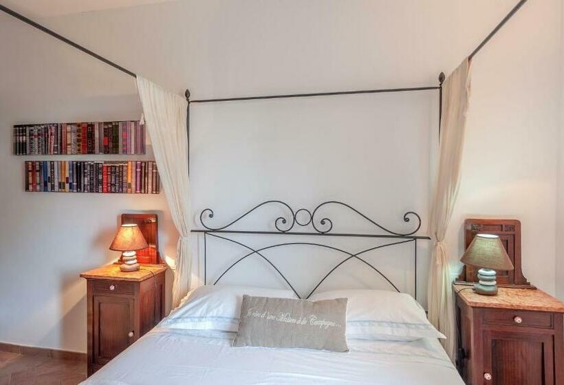 スタンダードルーム, Le Tartarughe Rooms