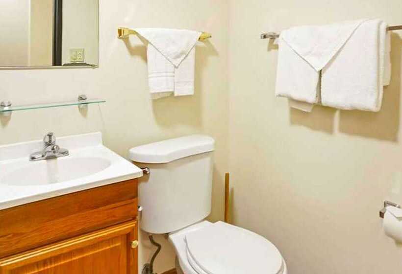 带2个双人床的标准工作室, M Star North Canton   Hall Of Fame