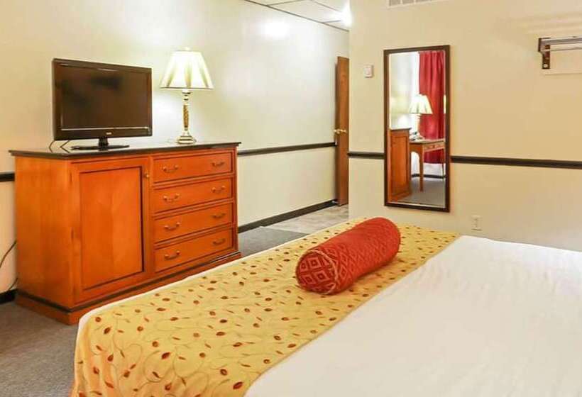 带2个双人床的标准工作室, M Star North Canton   Hall Of Fame