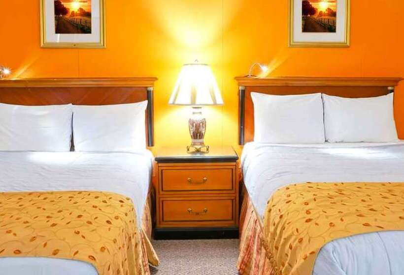 带2个双人床的标准工作室, M Star North Canton   Hall Of Fame