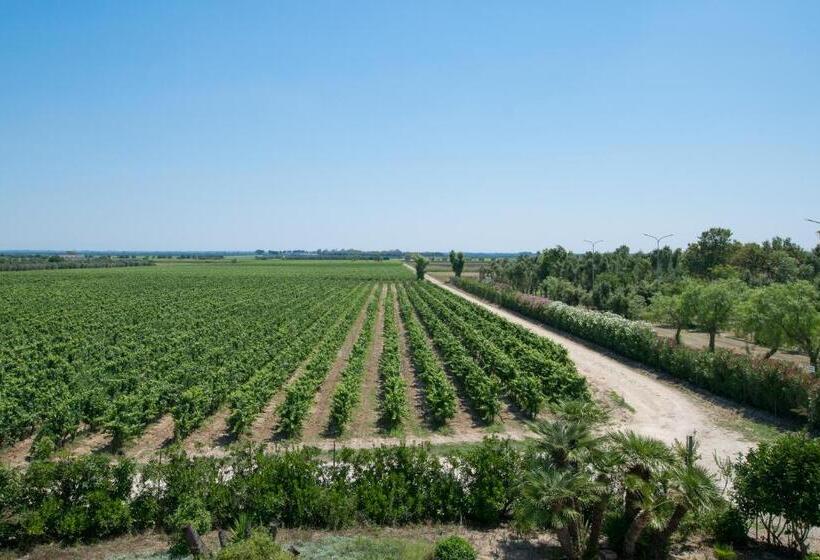 חדר סטנדרט לשלושה, Masseria Mazzetta Salento Corte Del Falconiere B&b