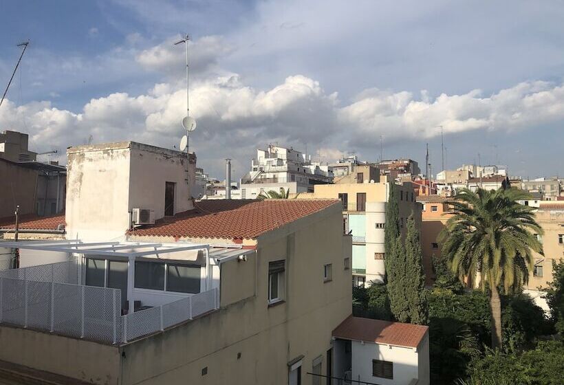 اتاق استاندارد یک نفره, Pigal