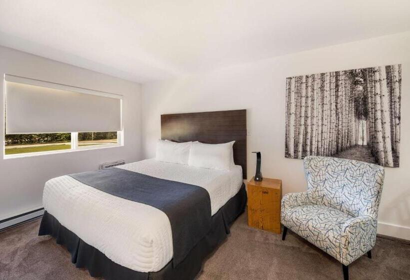 חדר סטנדרט עם מיטת קינג, Stoke Hotel Surestay Collection By Best Western