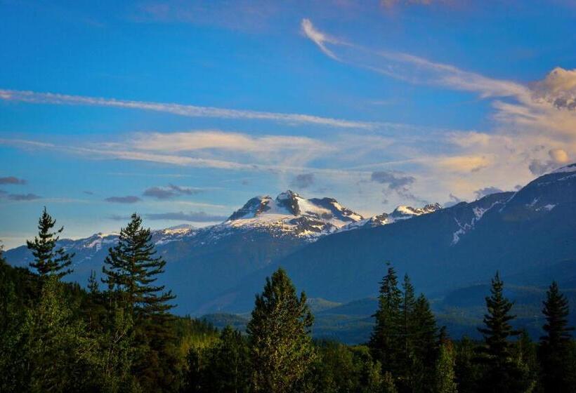 חדר סטנדרט, מיטת קינג, מותאם לאדם עם מוגבלויות, Stoke Hotel Surestay Collection By Best Western