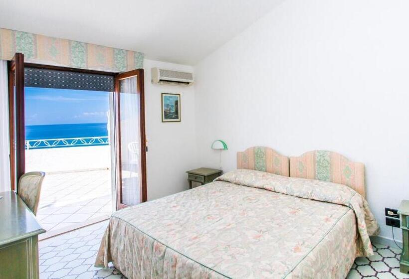 غرفة قياسية مطلّة علي البحر مزوَّدة بشُرفة, Poseidon