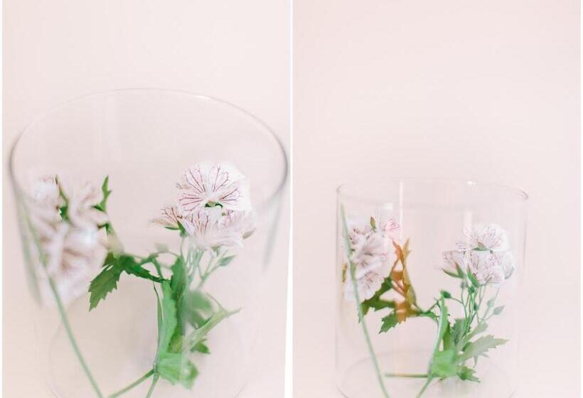 اتاق استاندارد, B&b Place Jourdan