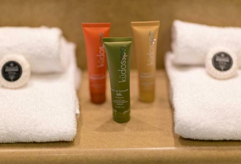 إستوديو قياسى مطلّ علي الحديقة, Bridges Villas Barooga