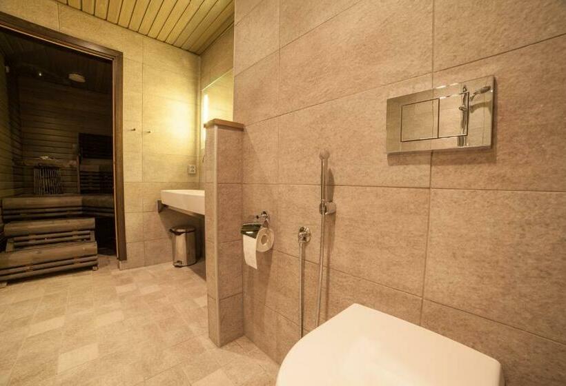 جناح ديلوكس سرير كينج, Li Suomutunturi