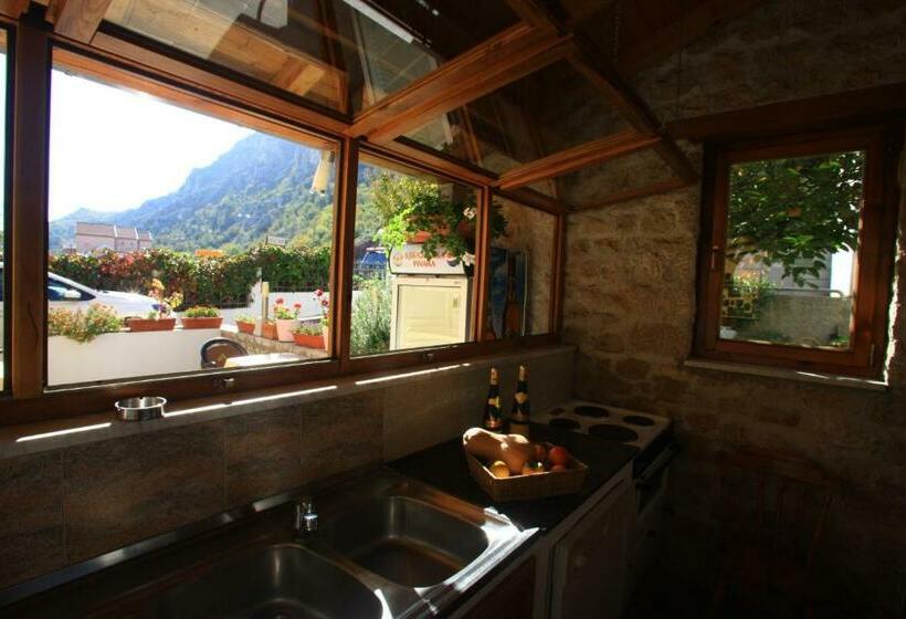 اتاق استاندارد, Pansion Rose