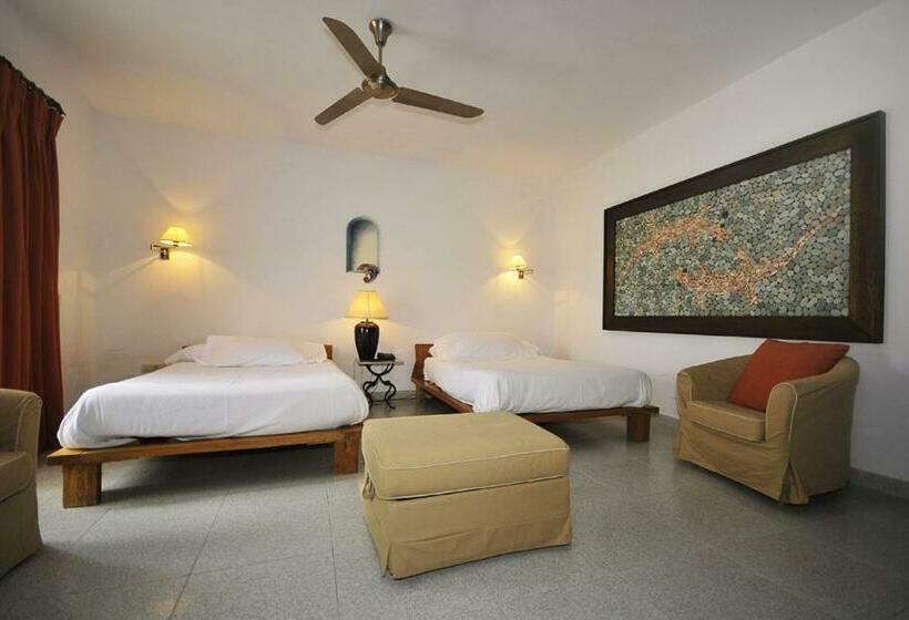 Номер Стандарт, Punta Sur