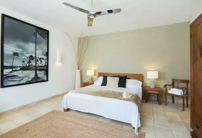 Standard Room, Punta Sur