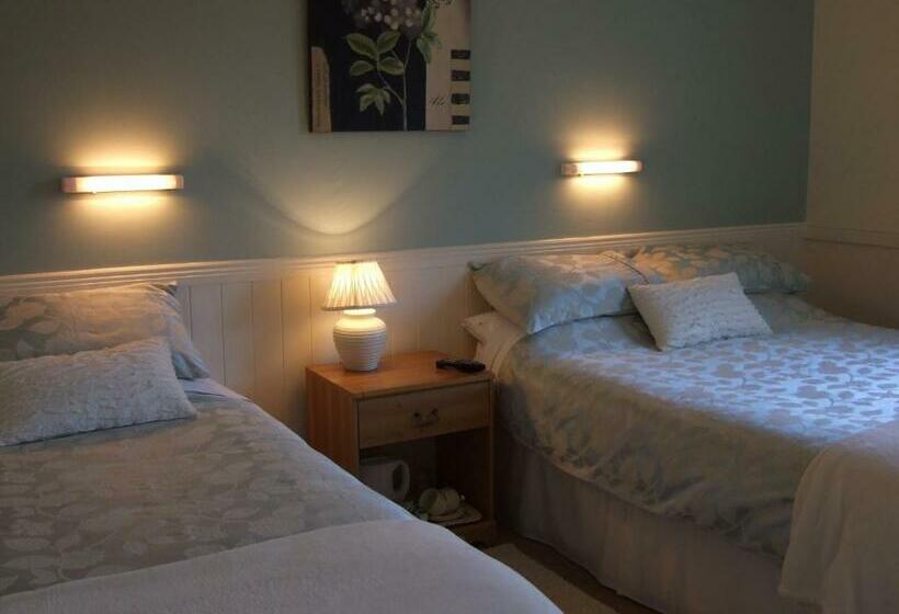 חדר סטנדרט, Shannonside House N37hf67